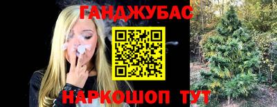 гашик Бузулук
